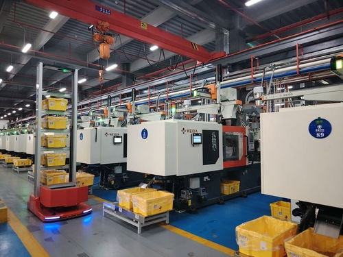 共和国摇篮 续写时代新篇 新中国成立75周年之际再访瑞金